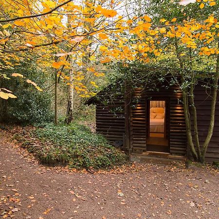 Pinetum Lodge Gloucester Chambre photo