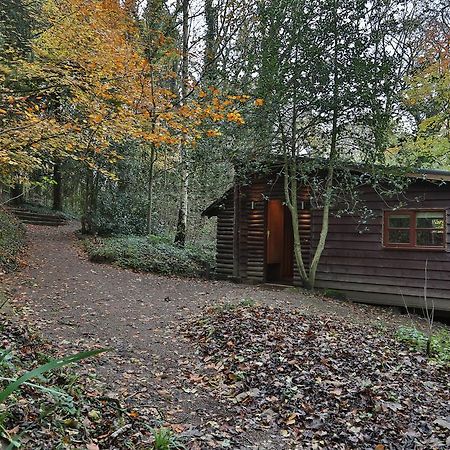 Pinetum Lodge Gloucester Chambre photo